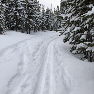 Three Creeks Cross Country Ski Trail