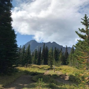 Three Fingered Jack